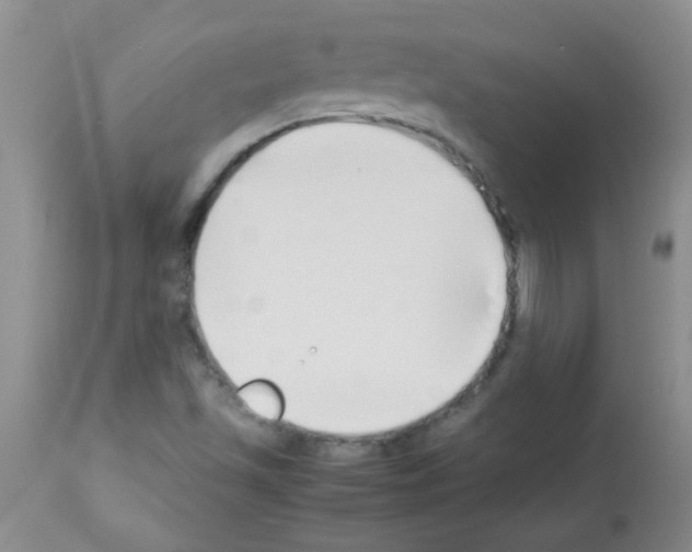 X0000113091501200910091244