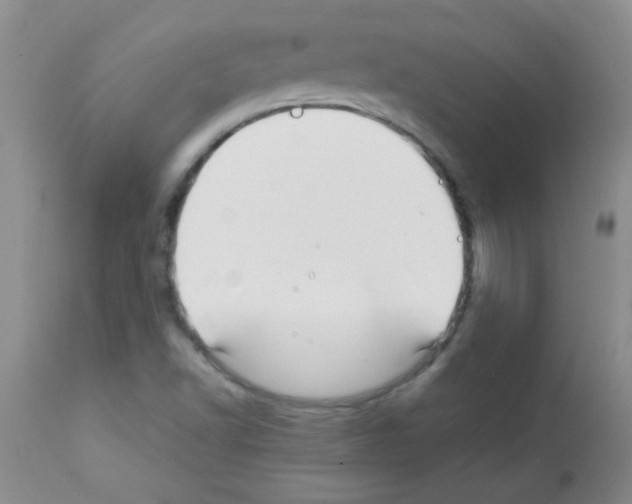 X0000113091502200910091244