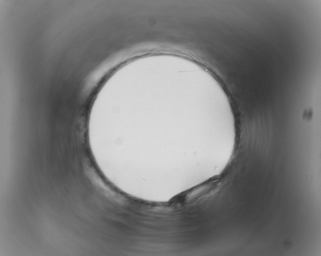 X0000113091503200910091244