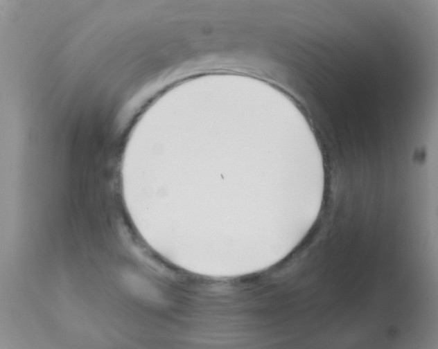 X0000113091507200910091244