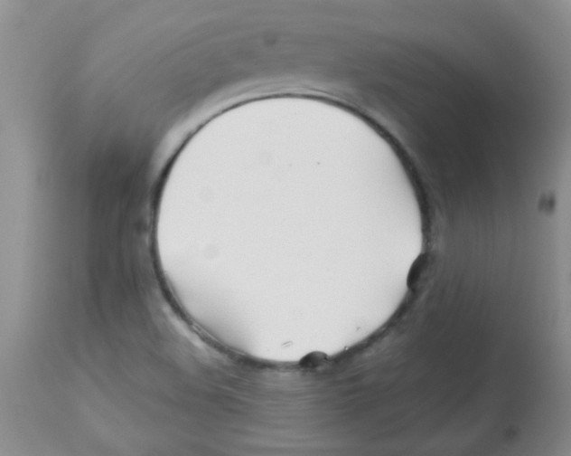 X0000113091508200910091244