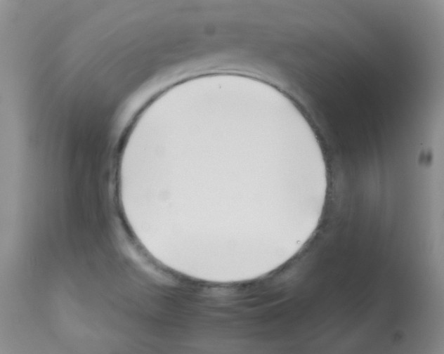 X0000113091511200910091244
