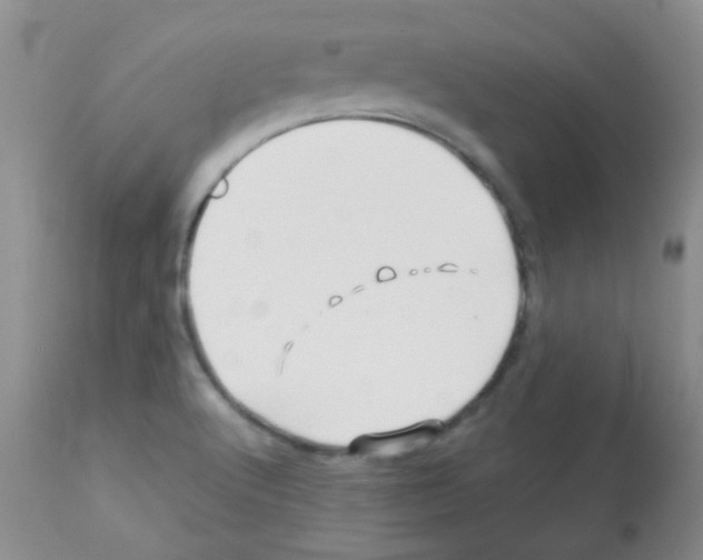 X0000113091512200910091244