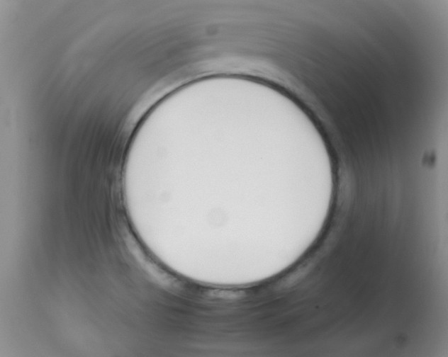 X0000113091513200910091244