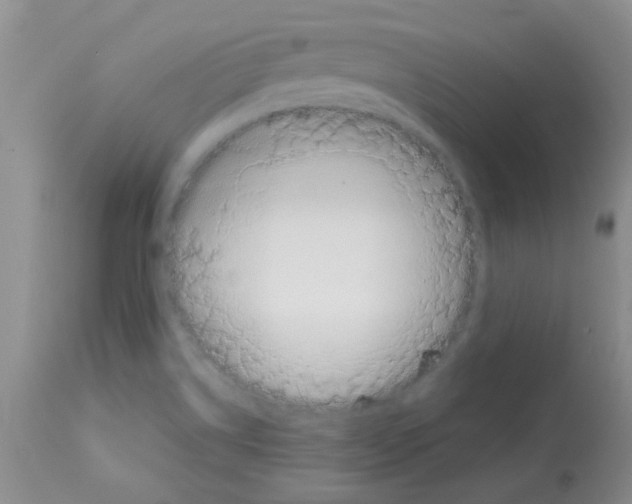 X0000113091514200910091244