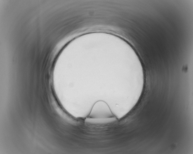 X0000113091515200910091244