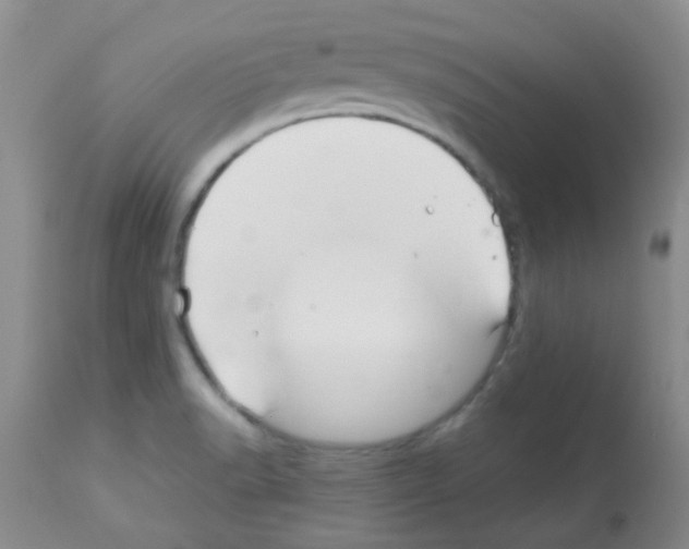 X0000113091518200910091244