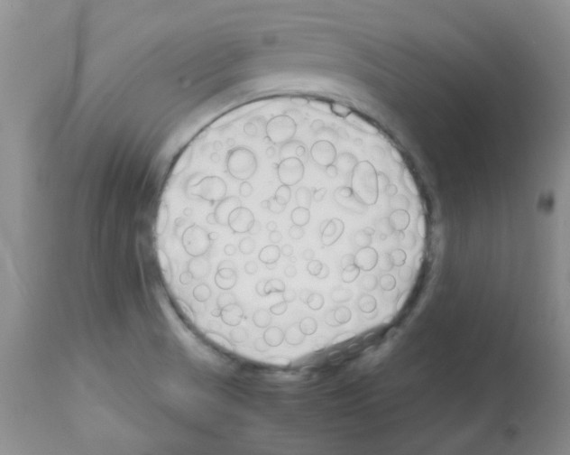 X0000113091521200910091244