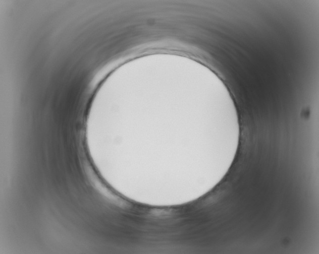 X0000113091523200910091244