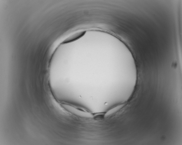 X0000113091524200910091244