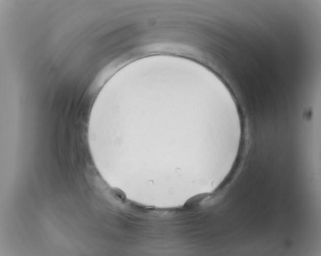 X0000113091529200910091244