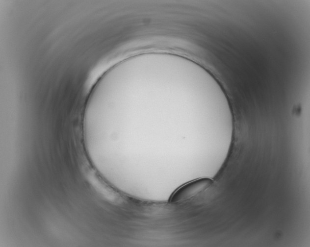 X0000113091530200910091244