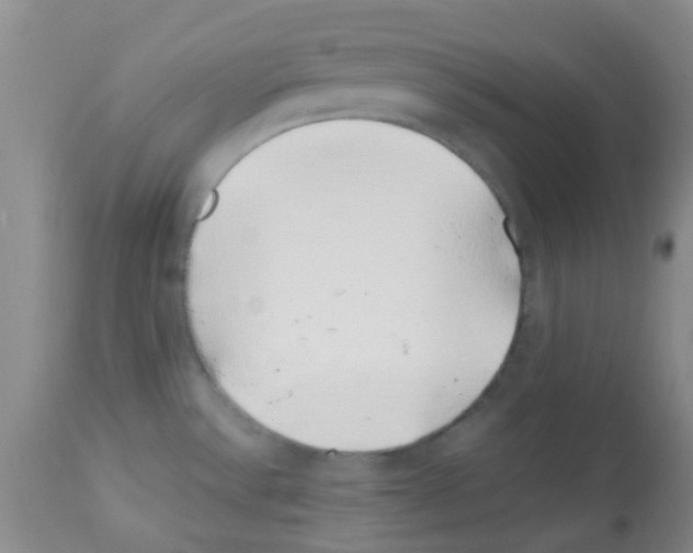 X0000113091532200910091244