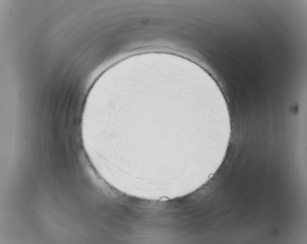 X0000113091534200910091244