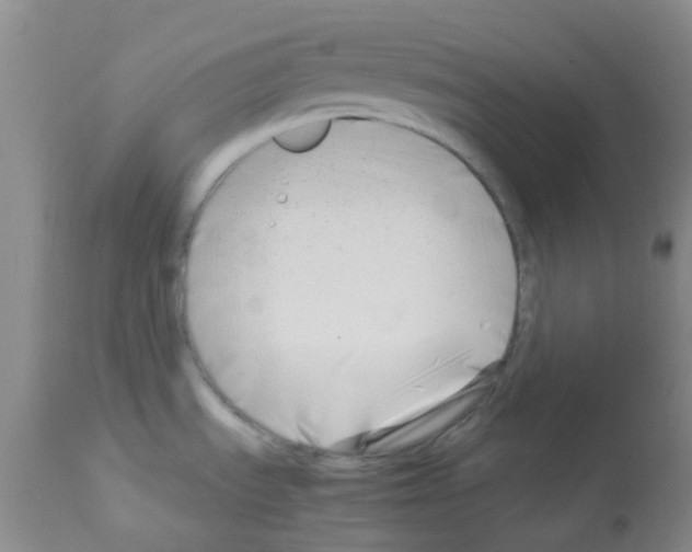 X0000113091535200910091244