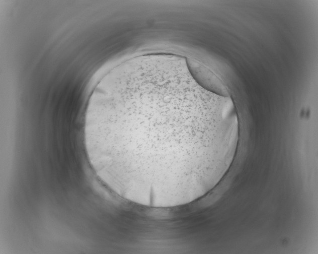 X0000113091536200910091244