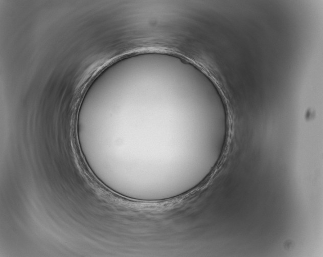 X0000113100001200908281004