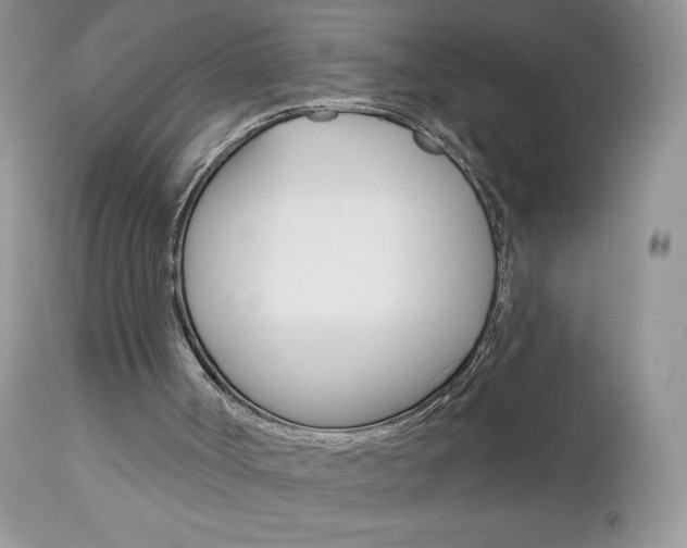 X0000113100002200908281004
