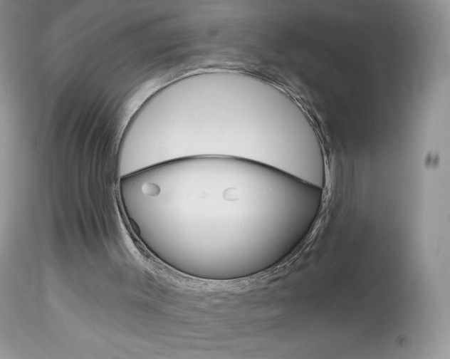 X0000113100003200908281004