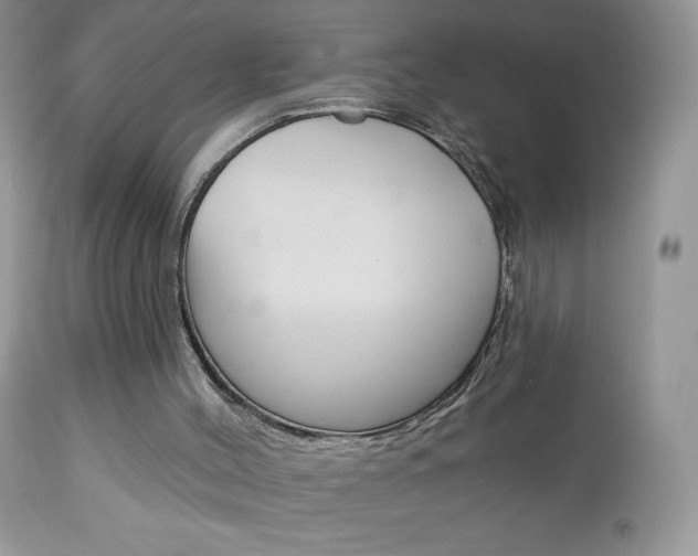 X0000113100004200908281004