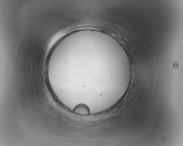 X0000113100006200908281004