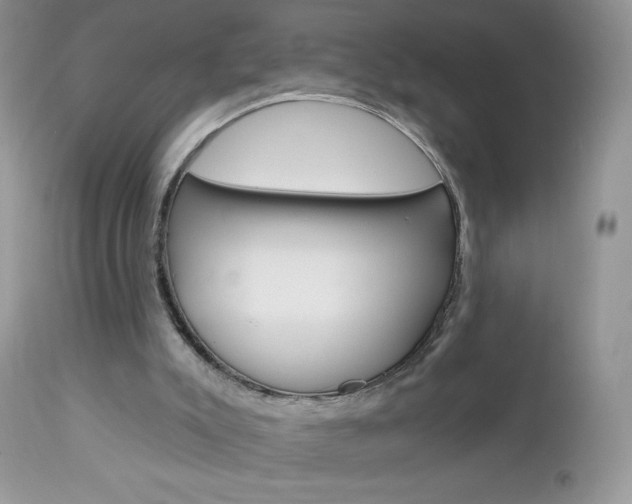 X0000113100007200908281004