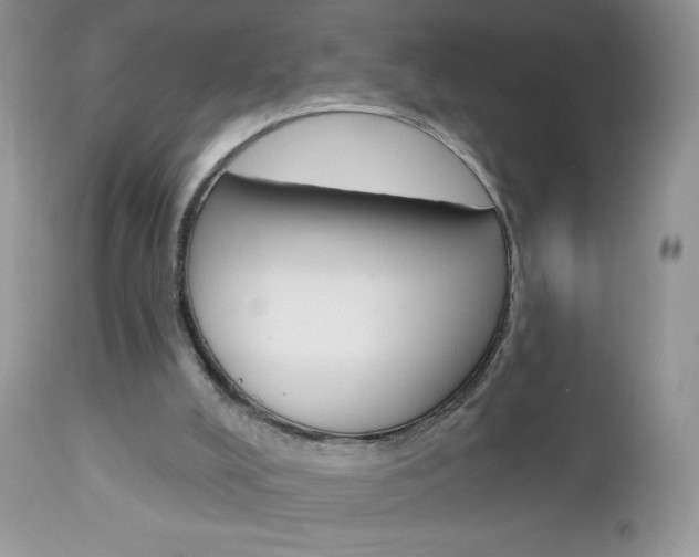 X0000113100008200908281004