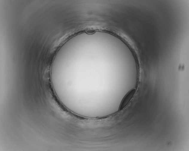 X0000113100009200908281004