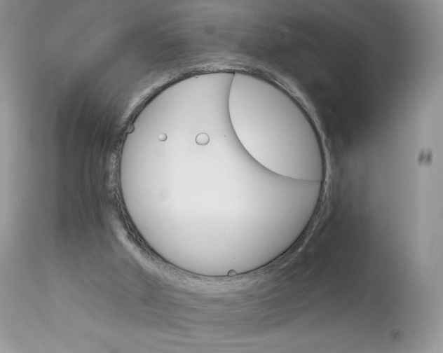 X0000113100010200908281004