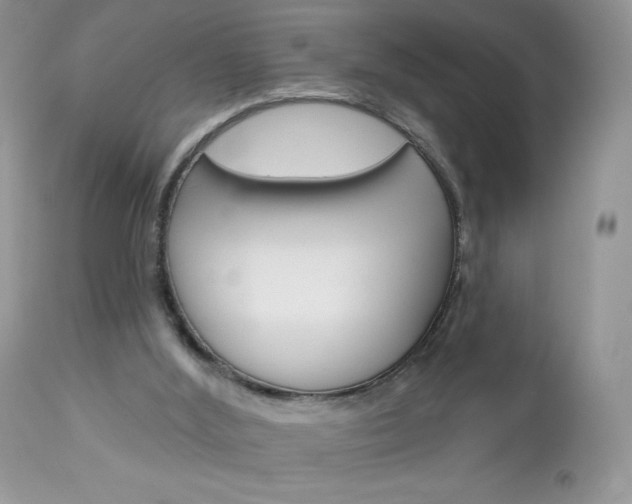 X0000113100012200908281004