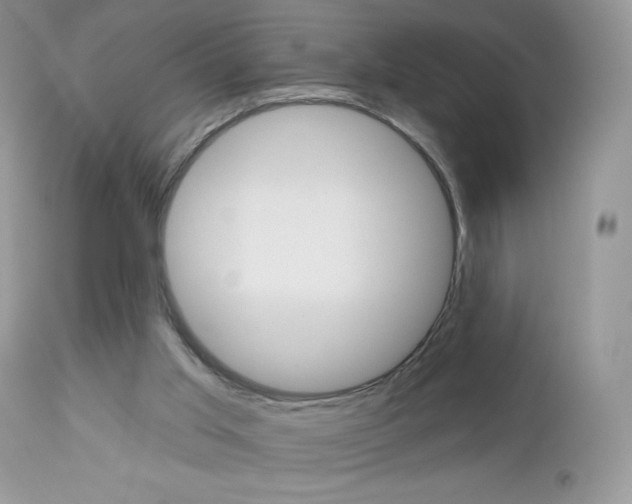 X0000113100013200908281004