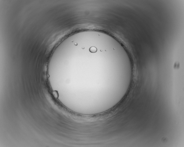 X0000113100014200908281004