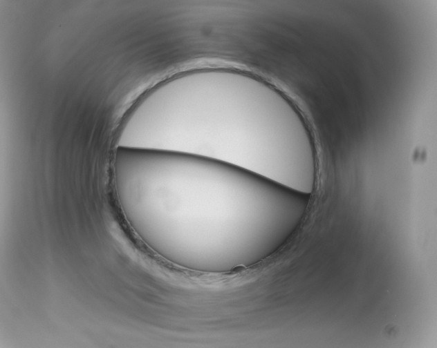 X0000113100015200908281004