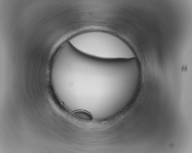X0000113100016200908281004