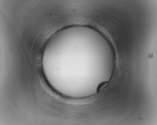 X0000113100017200908281004
