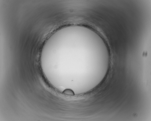 X0000113100018200908281004