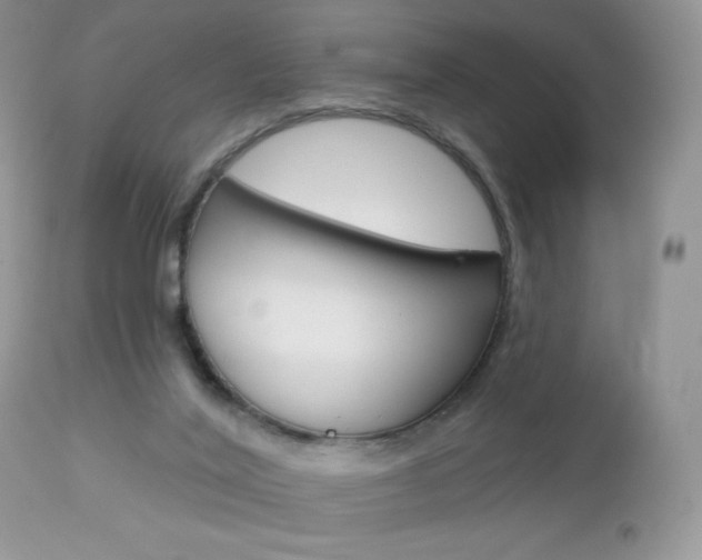 X0000113100020200908281004