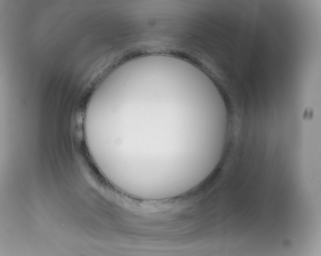 X0000113100022200908281003