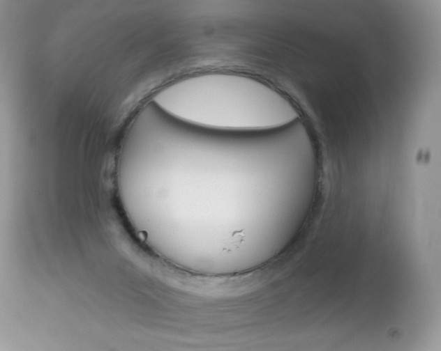 X0000113100023200908281003