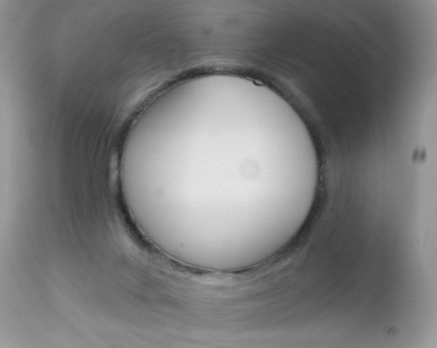 X0000113100024200908281003