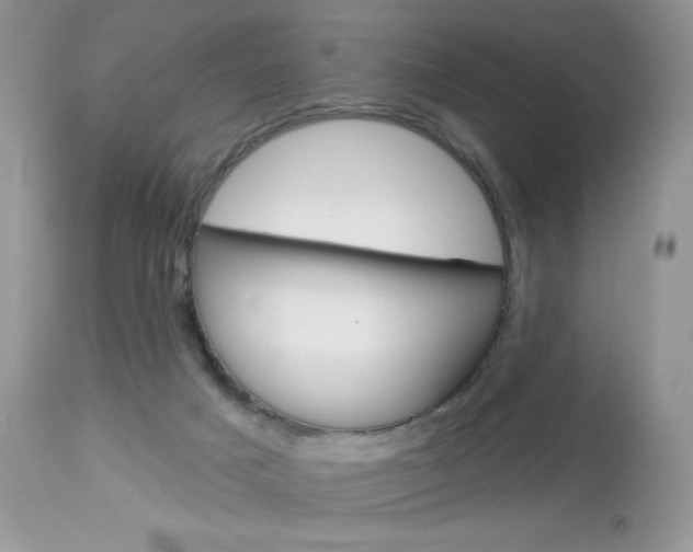 X0000113100025200908281003