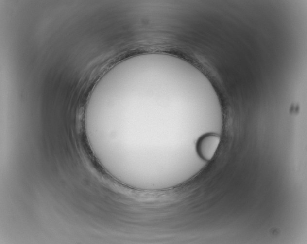X0000113100026200908281003