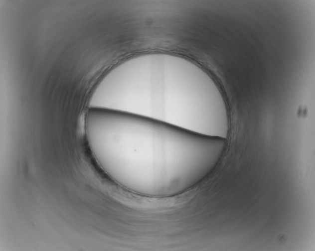 X0000113100027200908281003