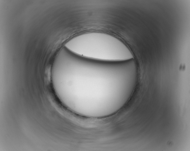 X0000113100028200908281003