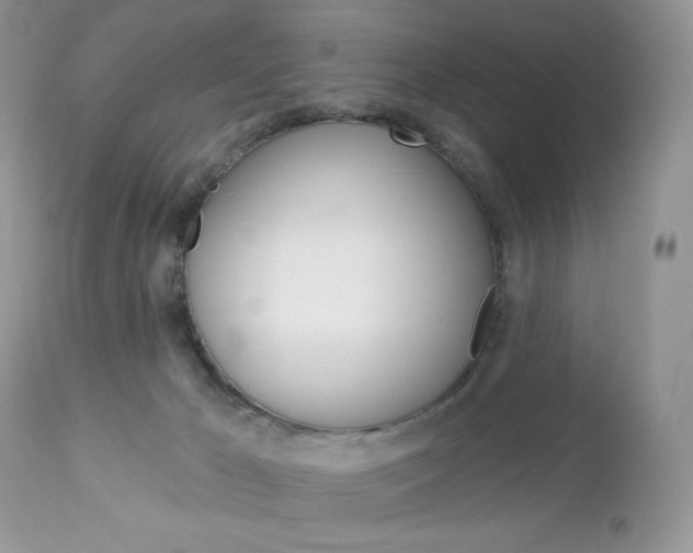 X0000113100029200908281003