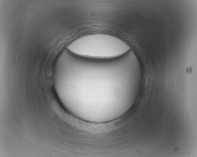 X0000113100031200908281003