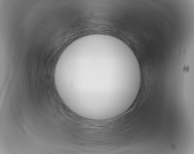 X0000113100033200908281003