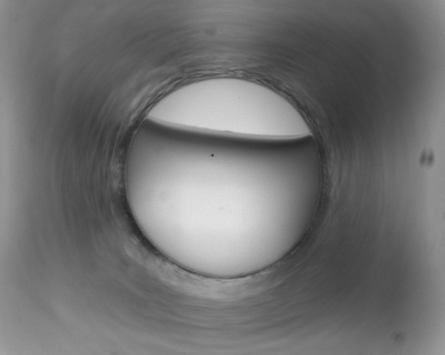 X0000113100035200908281003