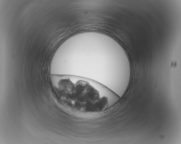 X0000113100036200908281003