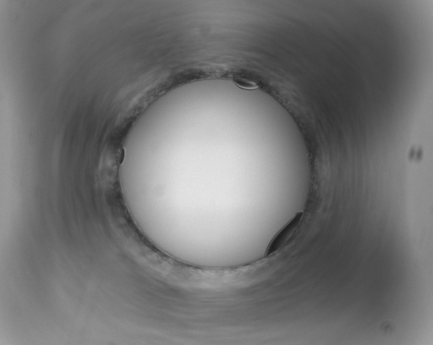 X0000113100037200908281003